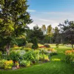 En bild på en trädgård med blommor och träd för att symbolisera den digital garden