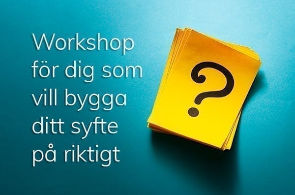 Workshop för dig som vill bygga ditt syfte på riktigt